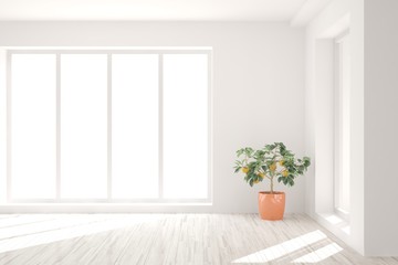 Empty room in white color. Scandinavian interior design. 3D illustration