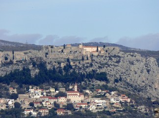 Obraz premium forest