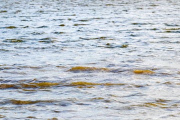 Small waves on the surface of the water in the river_
