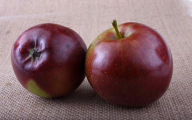 Apples on bagging