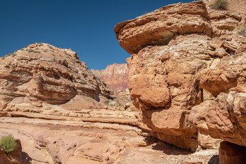 view on a canyon in the desert next to Marble canyon