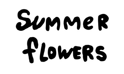 set of simple summer flowers drawings. abstract flower illustration. hand drawn vector art.