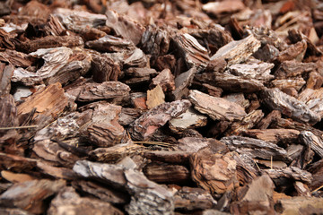 Texture crushed fragments bark of wood.