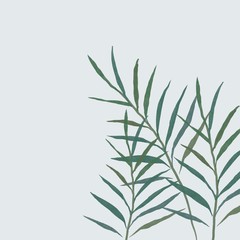 パーム、ヤシ　葉　素材 　観葉植物