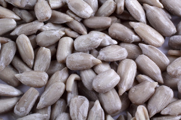 Sunflower seeds background