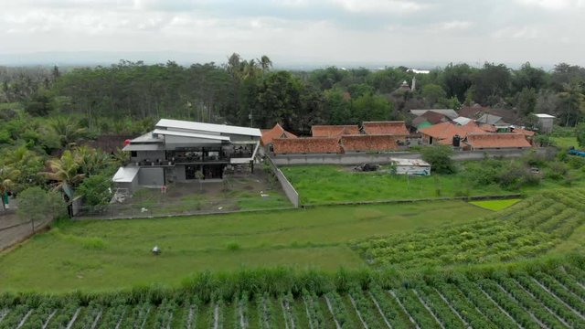 Modern house surround by green rice farm field and trees aerial footage from drone flying in small village, Java Island countryside landscape view, Indonesia