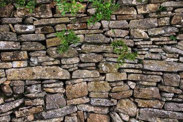 traditional stone wall on portuguese countryside