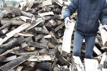Young man in gloved hand throwing firewood in old metal wheelbarrow and pile of  firewood on background in yard. Teen boy works outdoors in spring and preparation of firewood concept.