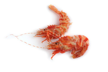 Shrimps isolated on white (northern Bering shrimp)