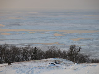 知床五湖の一湖近くの丘の上から見たオホーツク海の流氷（冬の知床五湖エコツアー参加中に撮影したもの）