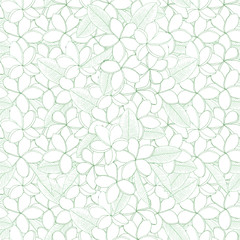 Fototapeta premium Plumeria seamless pattern monochrome flower, leaves. Art design element hand drawing stock vector illustration for web, for print