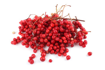 Schisandra Chinensis isolated on white