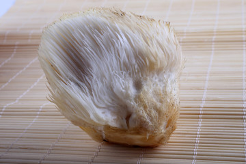 Hericium erinaceus mushroom (monkey head mushroom, bearded tooth fungus, bearded hedgehog mushroom, pom pom, lion's mane mushroom) © Alex Coan