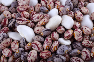 Different beans background