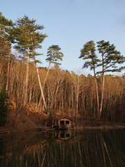 Fototapete bei efototapeten.de bestellen   