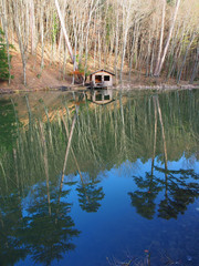 Fototapete bei efototapeten.de bestellen   