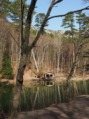 Fototapete bei efototapeten.de bestellen   