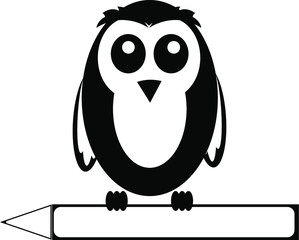 owl on white background