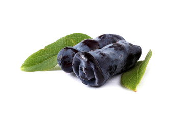 Honeysuckle berries isolated on white