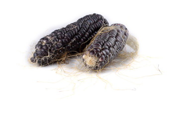 Black corn isolated on white