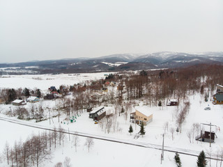 Winter landscape photo of snow covered fields and cottages with bare Tree in foreground and the majestic Mount Yotei in the background 
