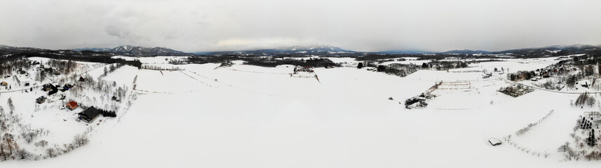 Winter landscape photo of snow covered farm fields and bare Tree with the majestic Mount Yotei in the background