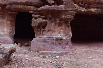 Geological formations at Petra in Wadi Musa and plants growing in March in the Spring 