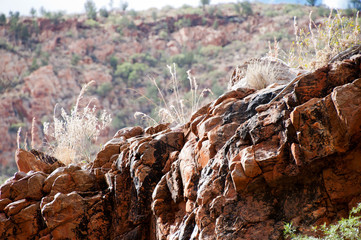 Alice Springs Australia, view of dry grass on ridge in Ormiston Gorge