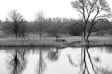A Countryside Landscape with Trees and Reflection in Water - 330299784
