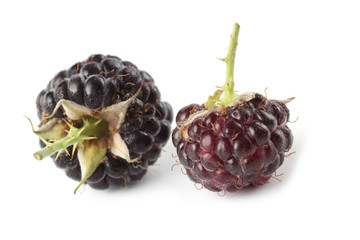 Two black raspberries (Rubus idaeus) isolated on white