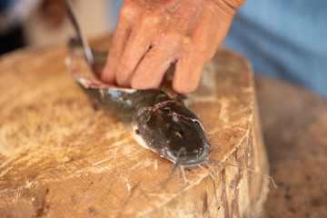  slice catfish