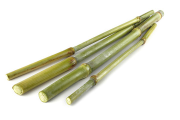 Sugar cane isolated on white