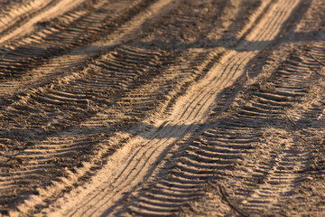 Tractor tyre tracks on a countryside dirt road at sunset