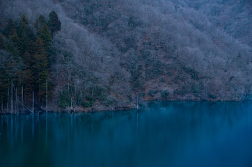 Fototapeta na wymiar 湖と木