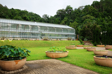 Greenhouse and conservatory at Queen Sirikit Botanic Garden and Arboretum, Climber trail for study about Various plant species.