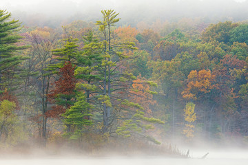 Autumn landscape of the shoreline of Hall Lake in fog, Yankee Springs State Park, Michigan, USA 