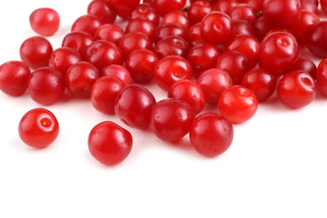 Nanking cherry isolated on white