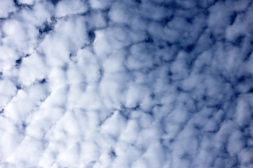 Altocumulus clouds background - obrazy, fototapety, plakaty