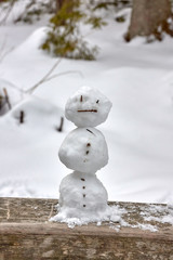 Tiny snowman on a railing of a wooden bridge in Olczyska Valley in Tatra Mountains, Poland