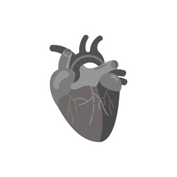 Human Heart Art Vector Illustration. Medicine Design Background