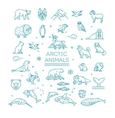 Set of linear vector Arctic animals