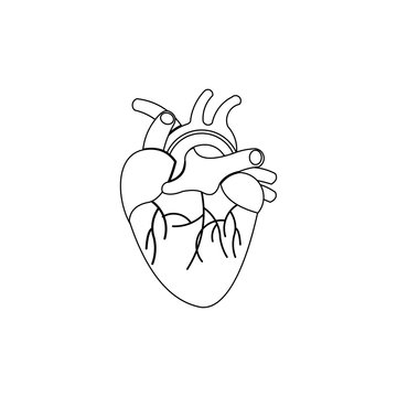 Human Heart Art Vector Illustration. Medicine Design Background