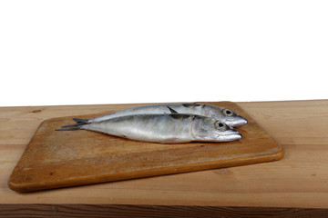 Chub mackerel on cutting board