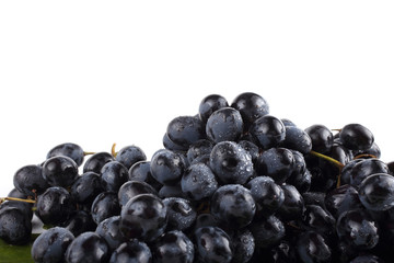 Black wet grape on white background