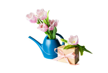 Beautiful tulips in blue water watering and gift insulated on a white background.