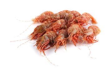 Shrimps isolated on white (northern Bering shrimp)