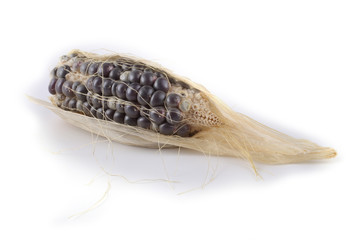 Black corn isolated on white