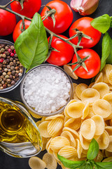 concept of traditional italian pasta with tomatoes and basil