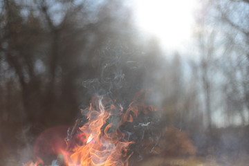 fire in the forest, bonfire bokeh