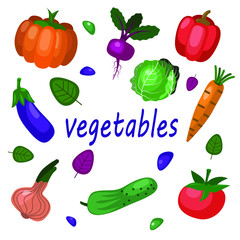 Vector drawing of vegetables , lettering vegetables.Vegetables isolated on a white background. Colorful background with healthy food. Wallpaper with natural products for organic markets , shops, wrapp